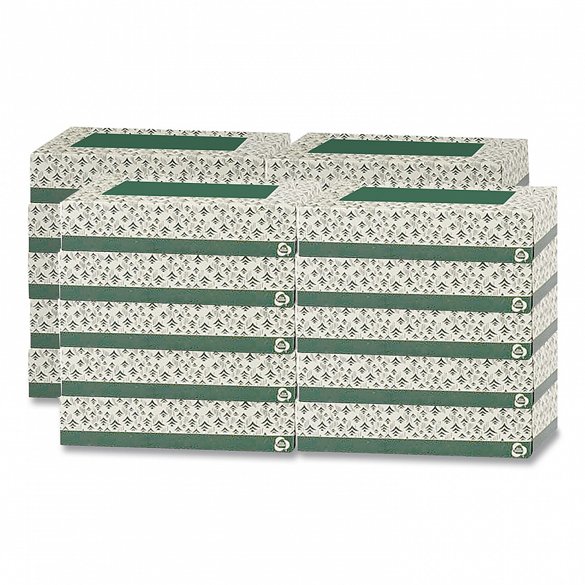 Recycled Two-Ply Facial Tissue, White, 150 Sheets/Box, 20 Boxes/Carton (EF150)