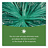 Controlled Life-Cycle Plastic Trash Bags, 33 gal, 1.1 mil, 33