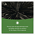 Insect-Repellent Trash Bags, 35 gal, 2 mil, 33