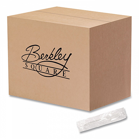 Individually Wrapped Mediumweight Cutlery, Spoon, Plastic, White, 1,000/Carton (1103000)