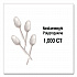 Mediumweight Polypropylene Cutlery, Spoon, Plastic, White, 1,000/Carton (1013000)