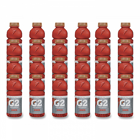 G2 Perform 02 Low-Calorie Thirst Quencher, Fruit Punch, 20 oz Bottle, 24/Carton (04053)