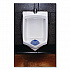 Urinal Screen, Tutti Frutti Scent, Blue, 1.8 oz, Dozen (1009)