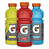 Rainbow Variety Pack, Cool Blue/Fruit Punch/Lemon Lime, 20 oz Bottle, 24/Carton (22002675)