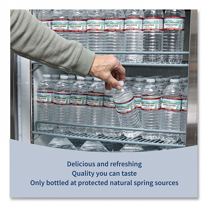 Alpine Spring Water, 16.9 oz Bottle, 24/Carton (24514CT)