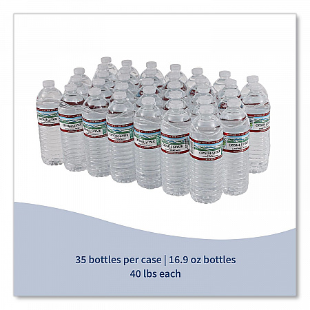 Alpine Spring Water, 16.9 oz Bottle, 35/Carton (35001CT)