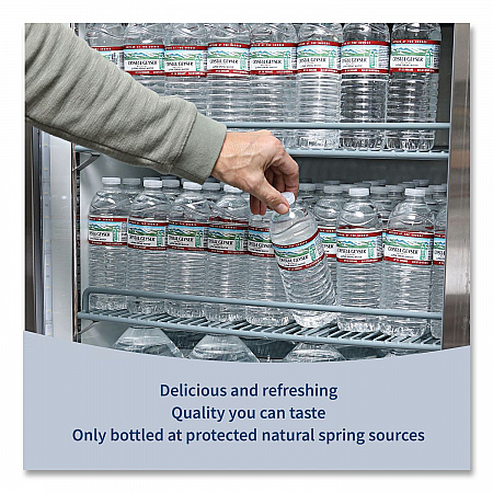 Alpine Spring Water, 16.9 oz Bottle, 35/Carton (35001CT)