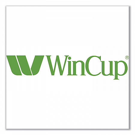 Plastic Lids for Foam Cups and Bowls, Slotted, Fits 32 oz to 64 oz Cold Cups, Translucent, 1,000/Carton (221936)