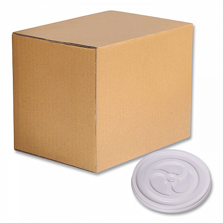 Plastic Lids for Foam Cups and Bowls, Vented, Fits 6 oz Hot Cups, White, 1,000/Carton (222076)