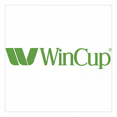 Plastic Lids for Foam Cups and Bowls, Slotted, Fits 8 oz to 10 oz Hot Cup, Translucent, 1,000/Carton (222077)