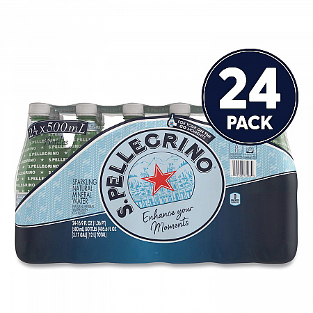 Sparkling Water Bottles, Unflavored, 16.9 oz Bottle, 24/Carton (22002683)