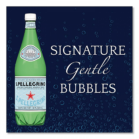 Sparkling Water Bottles, Unflavored, 16.9 oz Bottle, 24/Carton (22002683)