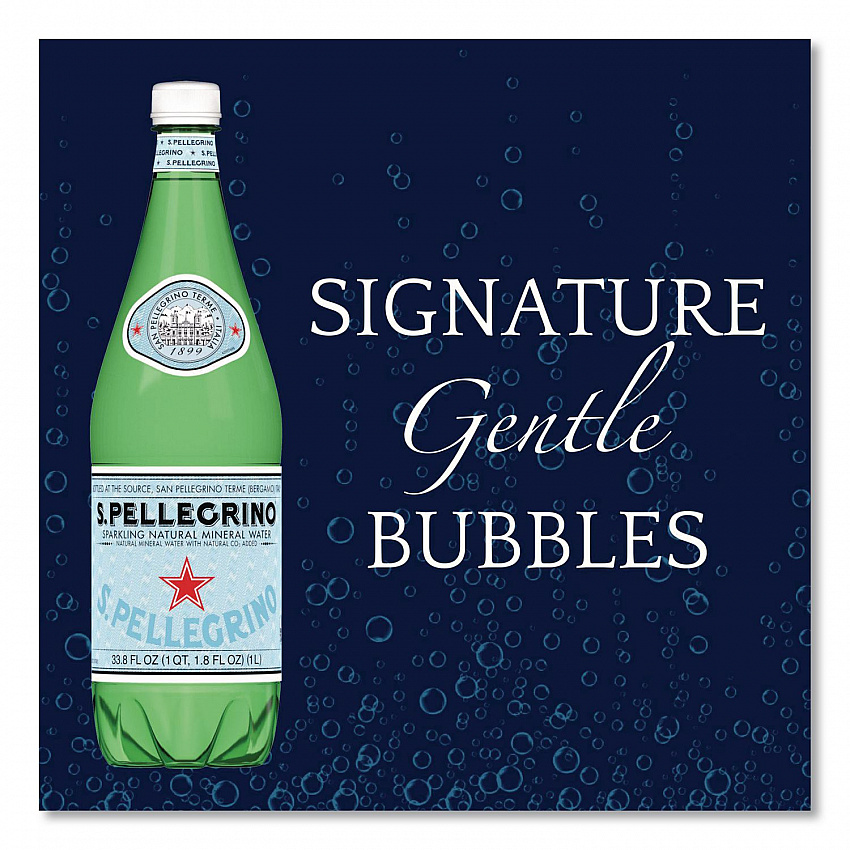 Sparkling Water Bottles, Unflavored, 16.9 oz Bottle, 24/Carton (22002683)
