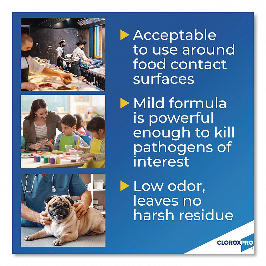 CloroxPro Anywhere Daily Disinfectant and Sanitizer, Unscented, 32 oz Spray Bottle (01698)