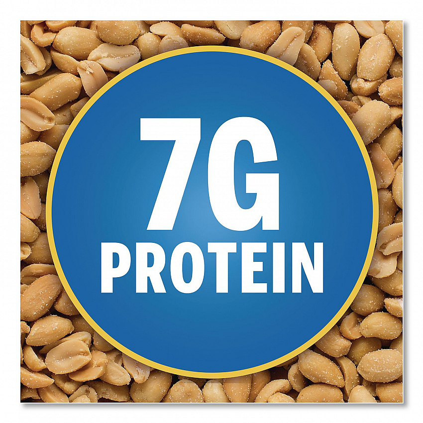 Salted Peanuts, 1 oz Pack, 48/Box (22000760)