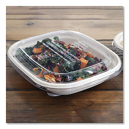 PLA Lids for Fiber Containers, 8.8 x 6.9 x 0.8, Clear, Plastic, 400/Carton (CTLCS3)