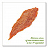 Chicken Jerky Tenders, Chicken, 36 oz Bag (22002664)