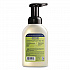 Clean Day Foaming Hand Soap, Lemon Scent, 10 oz, 4/Carton (383417)