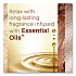 Plugin Scented Oil Refill, Cashmere Woods, 0.67 oz, 5/Pack (366544)