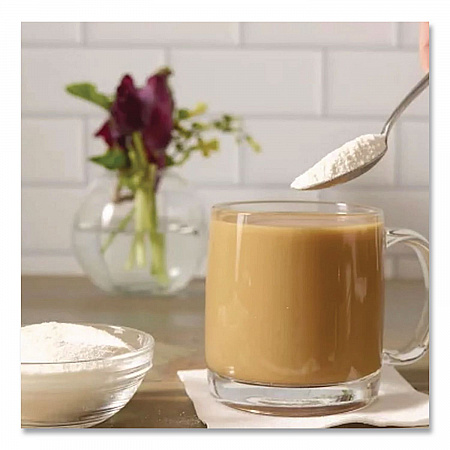 Non-Dairy Coffee Creamer, Original, 12 oz Canister (90780)