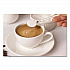 Powdered Non-Dairy Creamer, Regular, 12 oz Canister, 24/Carton (00020CT)