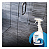 Cleaner with Bleach, Apple Scent, 32 oz Bottle, 12/Carton (4832)