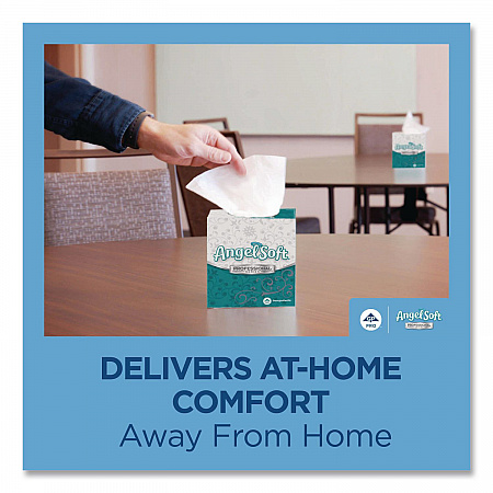 Angel Soft ps Premium Facial Tissues in Flat Box, 2-Ply, White, 100 Sheets/Box, 30 Boxes/Carton (48580CT)