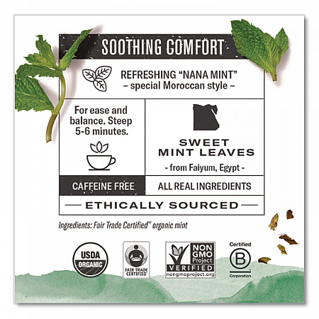 Organic Teas and Teasans, 1.4 oz Filterbag, Moroccan Mint, 18/Box (10104)