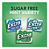 Extra Mint Variety Sugar-Free Gum, Peppermint/Polar Ice/Spearmint, 15 Sticks/Pack, 18 Packs/Carton (22002643)