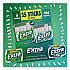 Extra Polar Ice and Spearmint Sugar-Free Gum Variety Pack, Polar Ice/Spearmint, 35 Sticks/Pack, 8 Packs/Carton (22002644)