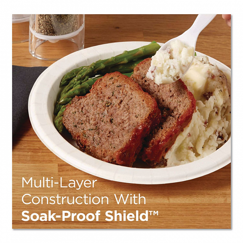 Pathways Medium-Weight Paper Plates, 8.5" dia, Pathways, 300/Box, 2 Boxes/Carton (UX9PATHPB)