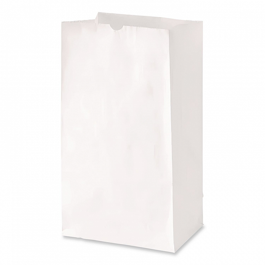 Grocery Paper Bags, 20# Size, 40# Basis Weight, 8.25" x 5.25" x 16.13", White, 500/Bundle (GW20500)