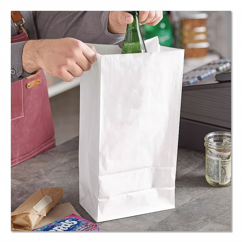 Grocery Paper Bags, 20# Size, 40# Basis Weight, 8.25" x 5.25" x 16.13", White, 500/Bundle (GW20500)