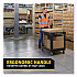 BRUTE Heavy-Duty Utility Cart with Lipped Shelves, Plastic, 2 Shelves, 500 lb Capacity, 25.9