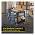Flat Shelf Utility Cart, Plastic, 2 Shelves, 500 lb Capacity, 25.25