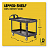 BRUTE Heavy-Duty Utility Cart with Lipped Shelves, Plastic, 2 Shelves, 750 lb Capacity, 26