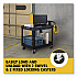 BRUTE Heavy-Duty Utility Cart with Lipped Shelves, Plastic, 2 Shelves, 750 lb Capacity, 26