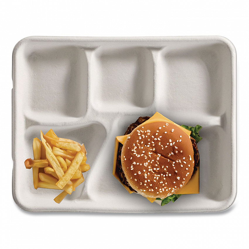 Savaday Molded Fiber Dinnerware, 5-Compartment Plate, Paper, 10.5" dia, White, 250/Carton (21040)