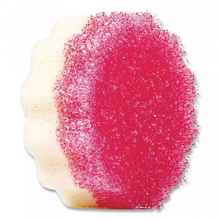 Sqeezy Dual-Sided Sponge and Scrubber, 4