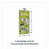 The Bright Tea Co. Green with Jasmine Tea Freshpack, 40/Carton (48723)