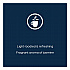 The Bright Tea Co. Green with Jasmine Tea Freshpack, 40/Carton (48723)