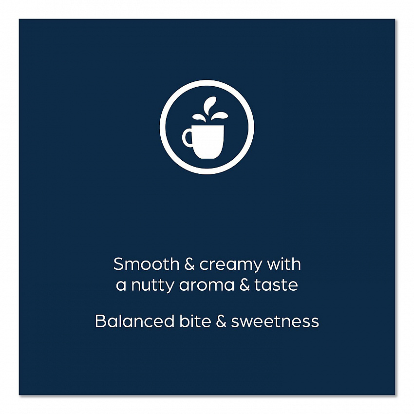The Bright Tea Co. Select Green Tea Freshpack, 100/Carton (48028)