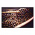 Premium Coffee, Whole Bean, Breakfast Blend, 32 oz Bag (32006)