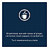 The Bright Tea Co. Chai Spice Black Tea Freshpack, 100/Carton (48021)