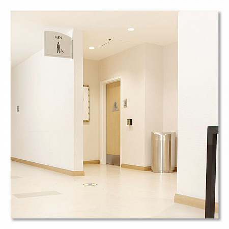 Designer Line Eclipse Waste Receptacle, 30 gal, Steel, Stainless Steel (R2030SSPL)