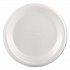 Foam Dinnerware, Plate, 9