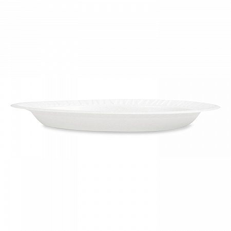 Foam Dinnerware, Plate, 9
