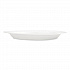 Foam Dinnerware, Plate, 9
