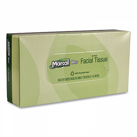 100% Recycled Convenience Pack Facial Tissue, 2-Ply, White, 100 Sheets/Box, 30/Carton (NP5701)