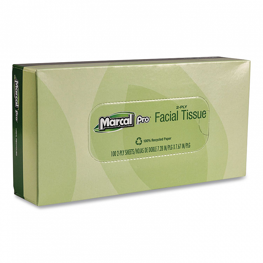 100% Recycled Convenience Pack Facial Tissue, 2-Ply, White, 100 Sheets/Box, 30/Carton (NP5701)